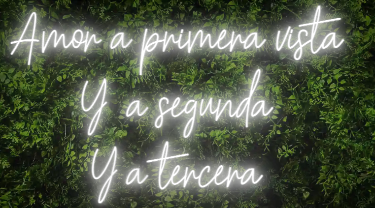 Neón para Bodas y Eventos "Amor a primera vista, y a segunda, y a tercera"