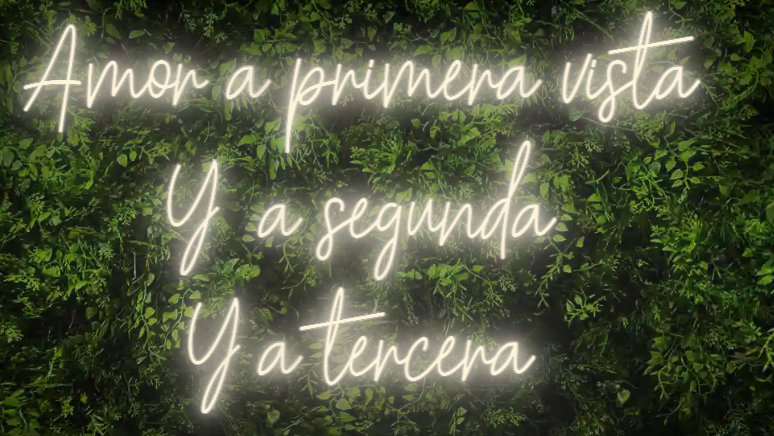 Neón para Bodas y Eventos "Amor a primera vista, y a segunda, y a tercera"