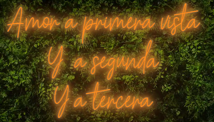 Neón para Bodas y Eventos "Amor a primera vista, y a segunda, y a tercera"