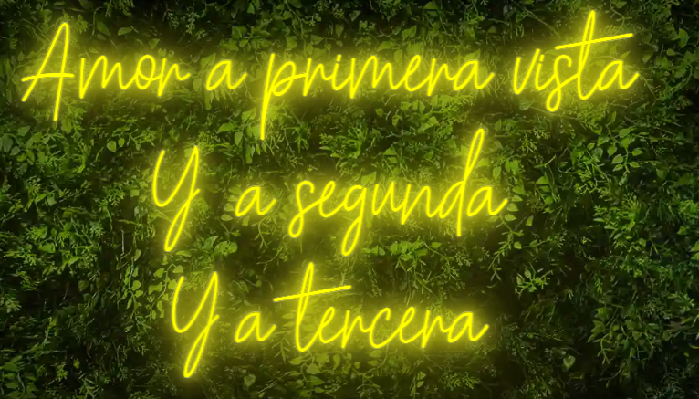 Neón para Bodas y Eventos "Amor a primera vista, y a segunda, y a tercera"