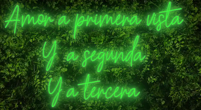 Neón para Bodas y Eventos "Amor a primera vista, y a segunda, y a tercera"