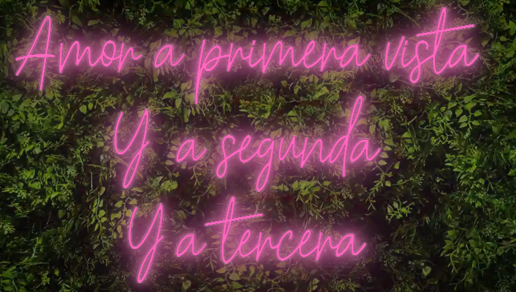 Neón para Bodas y Eventos "Amor a primera vista, y a segunda, y a tercera"