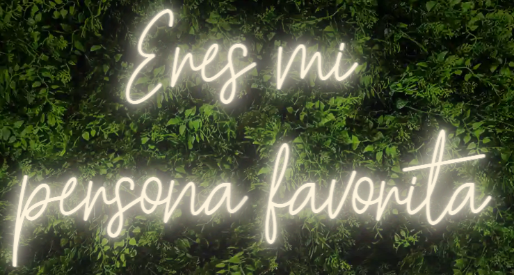 Neón para Bodas y Eventos "Eres mi persona favorita"