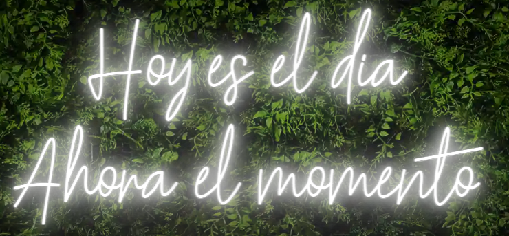 Neón para Bodas y Eventos "Hoy es el dia Ahora el momento"